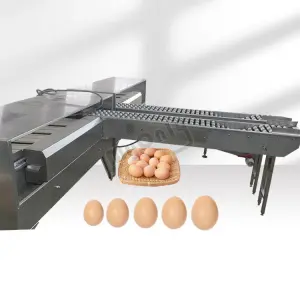 Small Scale Automatic Chicken Egg Sorter Weight Size Classify Grader Sort Egg Grade Machine