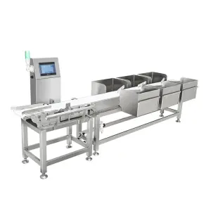Conveyor Belt Scale Weighing Sorting Machine Weight Grading for Food Industry Fruit Orange