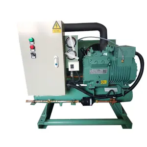 Easy Installation & Maintenance Refrigerant 220V 380V Freezer Compressor Semi-hermetic Piston Condensing Unit