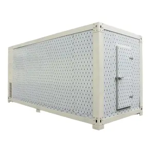 Removable Cold Storage Room Walk in Reefer Container for Vegetable/Fruit/Egg/Ice Cream