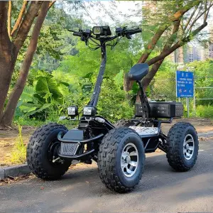 ESWING High Power Folding All Terrain 60v 50ah Domestic Battery 4 Wheel 4x4 Atv Off Road Electric Scooter