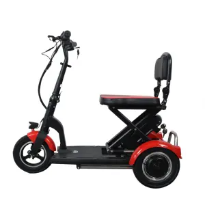 Electric Mobility Scooter 36V 300W 10Ah Battery 3 Wheel Electric Scooter Mobility Handicapped Scooter