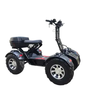 Adult Electric Four Wheeler ATV 60v 10000w 21-inch Off-road Vacuum Tires High Power Electric Quad Bike With Reverse Function