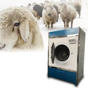 Equipment for Washing Wool Sheep Wool Cleaning Machine Wool Processing Machinery