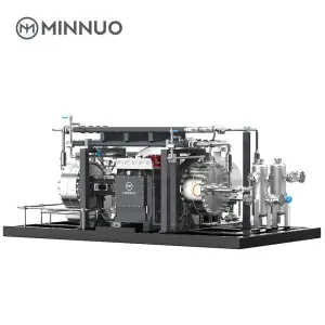 Hydrogen Compressors That Pressurize Electrolytic Hydrogen and Inject It Into Large Storage Tanks or Underground Caverns