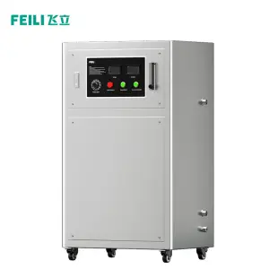 High Efficiency Koi Pond Ozone Generator 20G Fish Farm Water Home Use Oxygen Hydrogen Generator