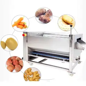 LPMIE Automatic Carrot Brush Wash Equipment Sugar Cane Washing Peeling Machine Wool Roller Cleaning and Peeling Machine