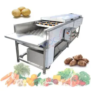 Root Vegetable Yam Fruit Wool Brush Roller Clean Automatic Potato Peel and Orange Wash Machine