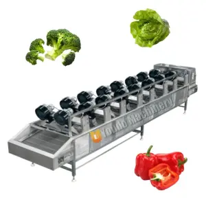 Sweet Potatoes Washing Drying and Sorting Machine Vegetable Radish Celery Taro Cleaning Drying Sorting Machine