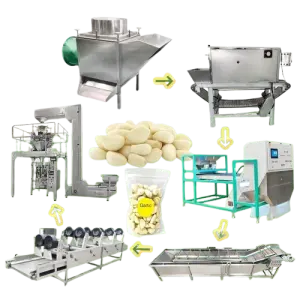 Automatic Industrial Ginger Garlic Bulb Break Make Separate Peeler Peel Machine and Product Line in Egypt