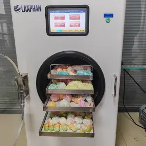 Freeze Dryer Candy Milk Fruit Food Drying Lyophilizer Machine for Home With Oil Free Vacuum Pump