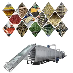 Genyond Dried Fruits and Vegetables Continuous Belt Conveyor Tunnel Drying Machine