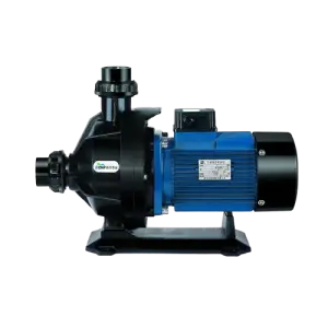 CNP NSW 220V 380V 50Hz Single-Stage Electric Swimming Pool Pump Connection Pool Water Pumps for Water Feature Landscaping