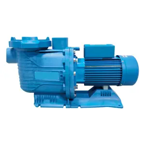 QLOZONE Aquaculture Water Treatment Equipment Suction Pump Swimming Pool Circulation Water Pump Pool Filter Circulating Pump