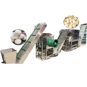 QDMECH Large Stainless Steel Chain Type Commercial Electric Garlic Peeling Machine Onion Garlic Peeler Skin Peeling Machine