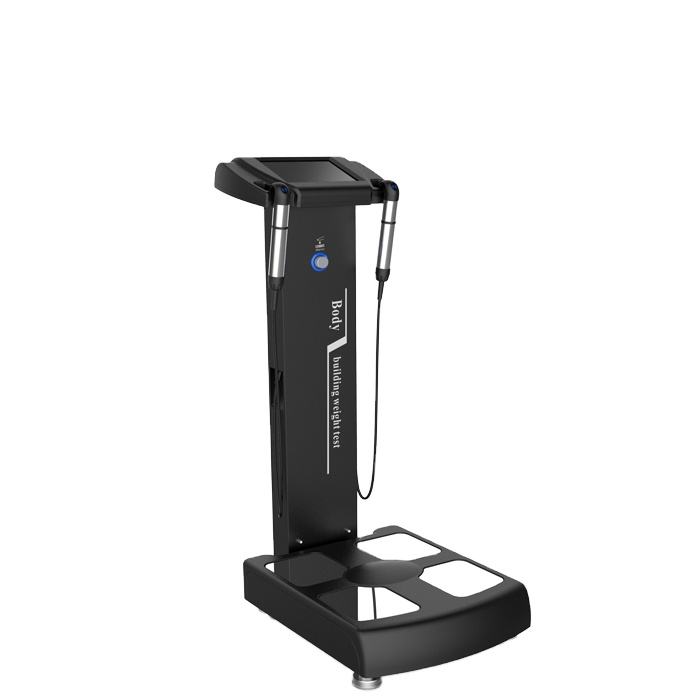 Body Building Weight Test System Human Body Fat Health Analyzer Machine Device on GYM