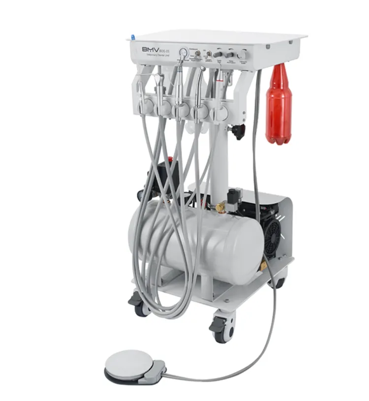 Professional Dog Dental Care Equipment Veterinary Dentistry Surgical Instruments for Teeth Cleaning Scaling Oral Diagnosis Tools