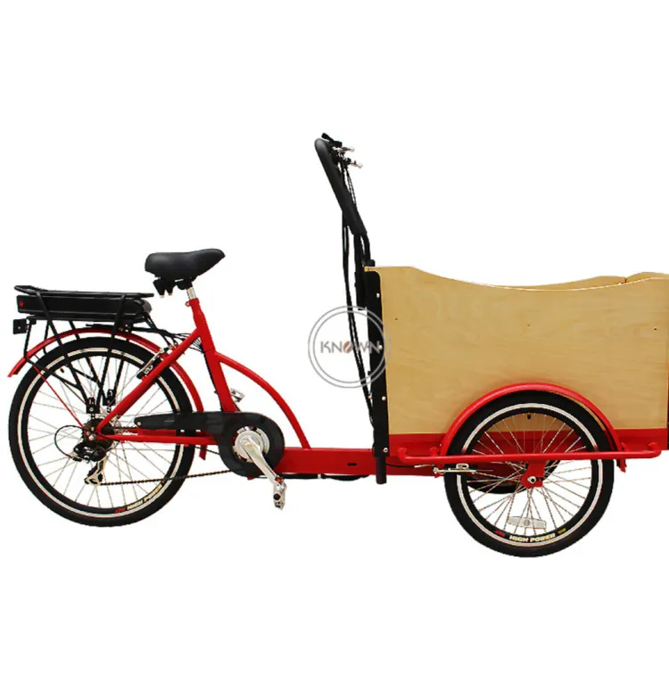 Cargo Bike Three Wheel Electric Tricycle Adult Freight Tricycle Front 2 Wheels Bicycle WIth Seat Belts