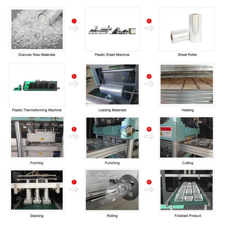 Plastic Thermoforming Manufacturers Provide Comprehensive Technical Support After- Service Plastic Cup Making Machine