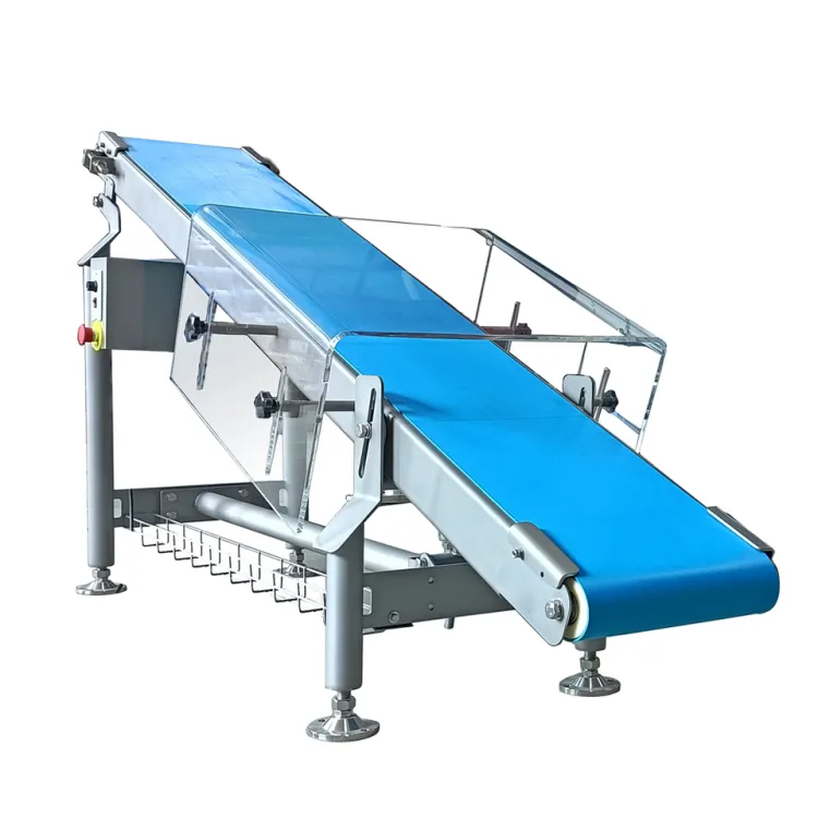 Focus Machinery High-Speed Portable Inclined Belt Conveyor Small Output Take Away Conveyor Manufacturing Plants