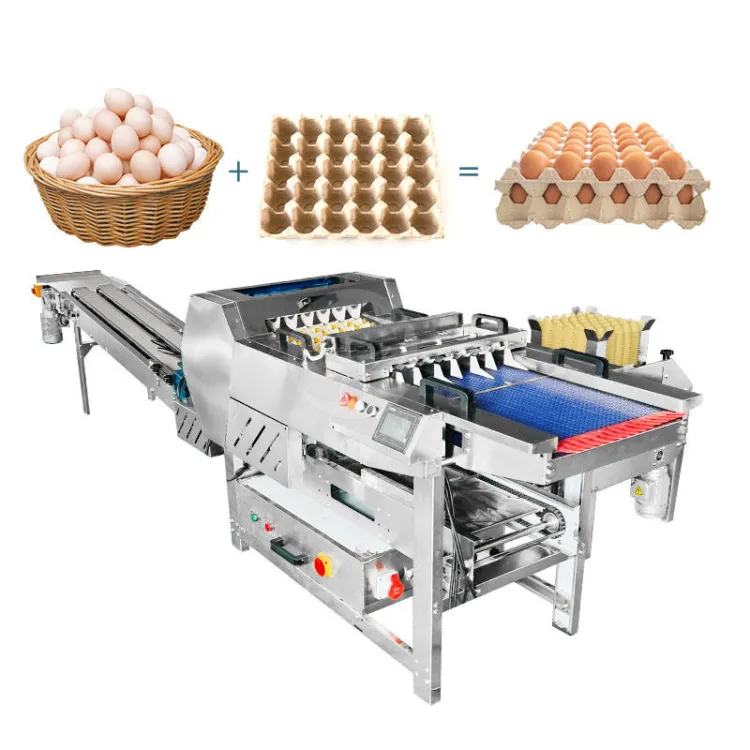 ORME Automated Chicken Egg Pack Machine Paper Pulg Egg Pack Machine Egg Pack Machine