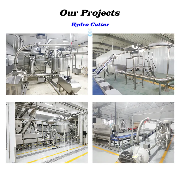 Automatic 10T/h Industrial Hydro Cutter Machine Pump for Vegetables Fruit Carrot Strips Onion Slices Potato French Fries