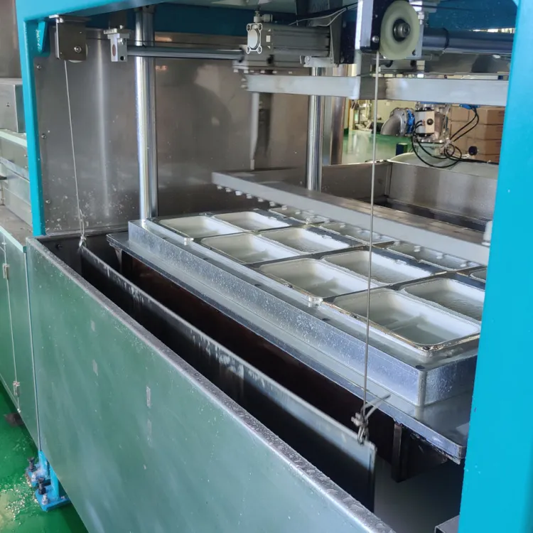 Automatic Sugarcane Bagasse Paper Pulp Molding Tableware Thermoforming Machine for Food Packaging Container