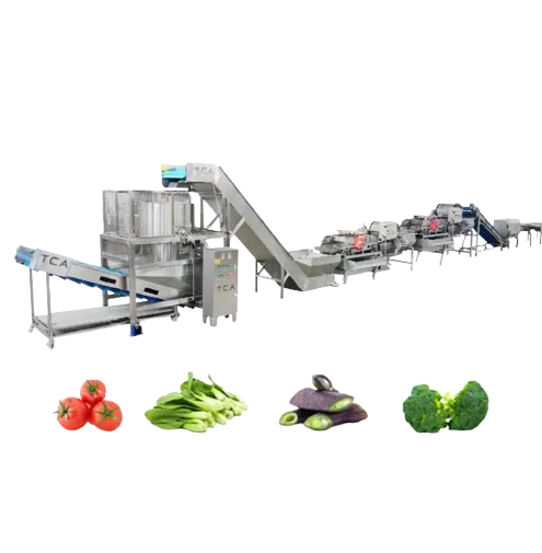 Complete Automated Vegetable and Salad Processing Line for Cutting Washings Drying Weighing of Leafy Lettuce Vegetables