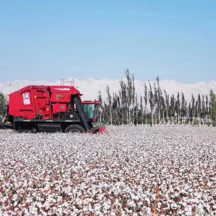 FM WORLD 4MZD-6 Self-propelled 6 Rows Cotton Packing Picker Cotton Harvester