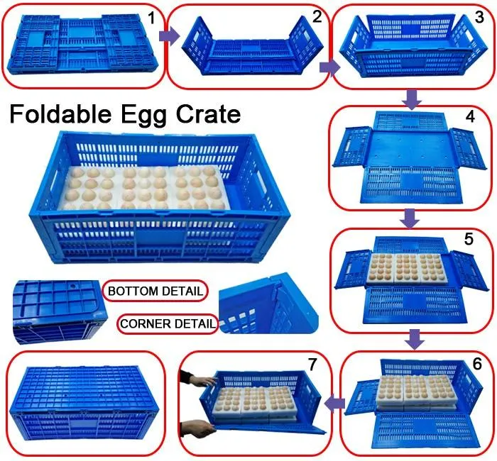 JOIN Newest Design Plastic Egg Tray Plastic Incubator Chicken Egg Tray Reusable Packing Crate for 30 Eggs