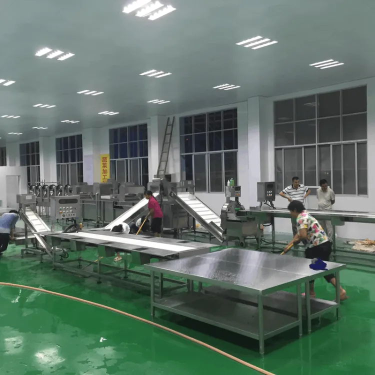 3 Ton/Hour PLC Motor Frozen Berry Vegetable Production Line Food Grade Stainless Steel Industrial Frozen Equipment