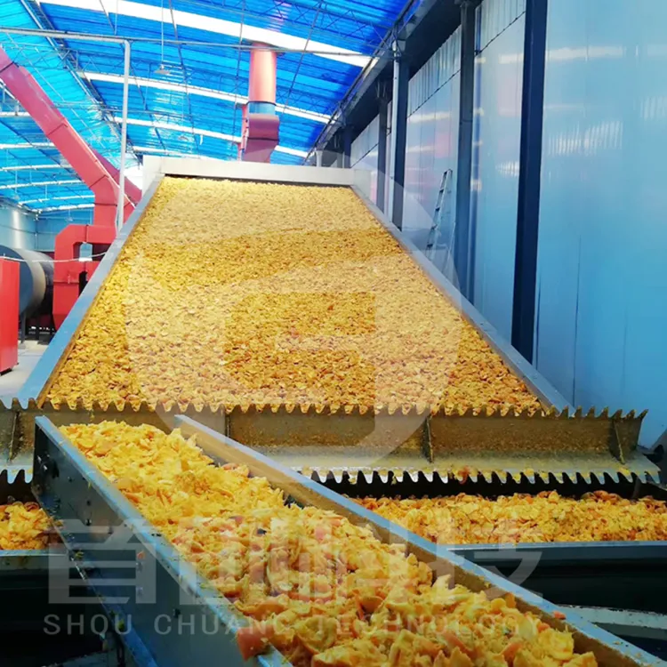 Automatic Guava Dry Fruit Drying Plant Dragon Fruit Fig Peach Guava Plum Drying Machine