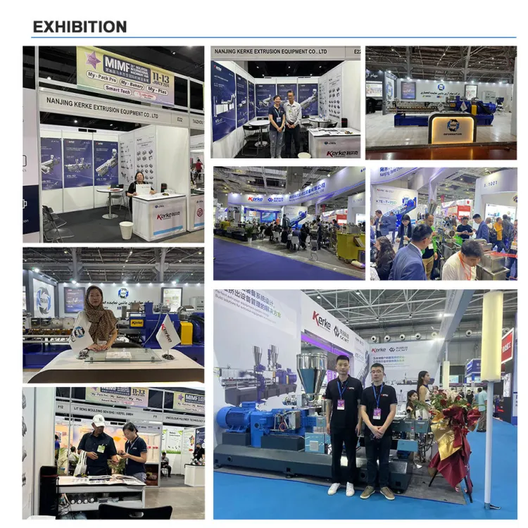 Twin Screw Extruder Making Pet Food Extrusion Machine Rubber Extruders