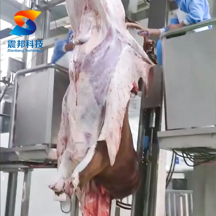 Beef Slaughter Line Equipment with Hydraulic Skinning System Cattle Slaughtering Plant Equipment