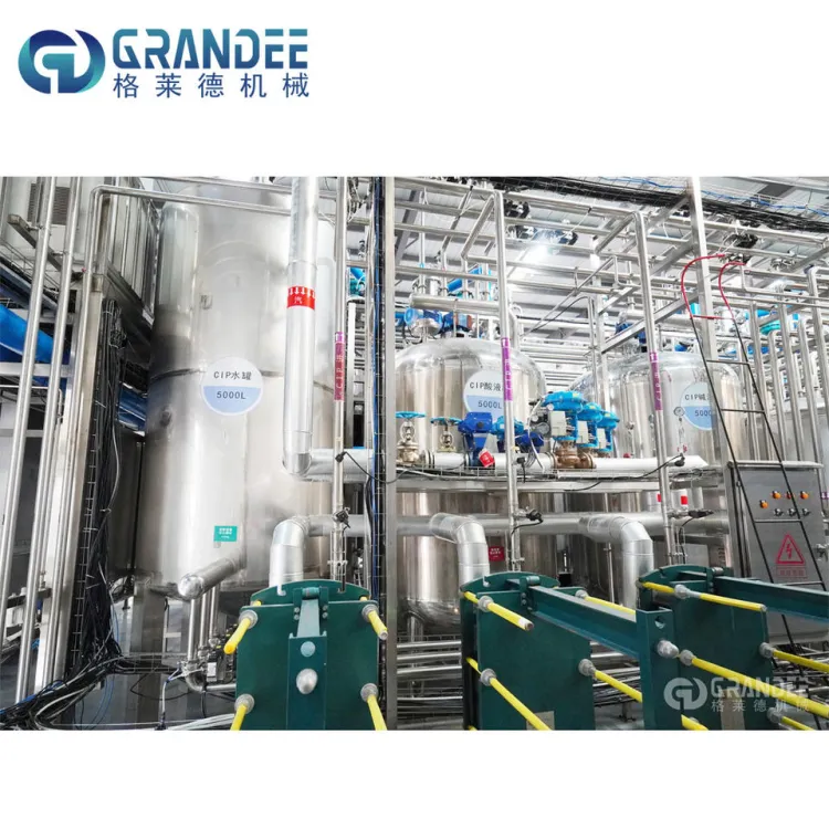 Automatic Tamarind Cashew Fruit Juice Processing Machine Production Line Plant