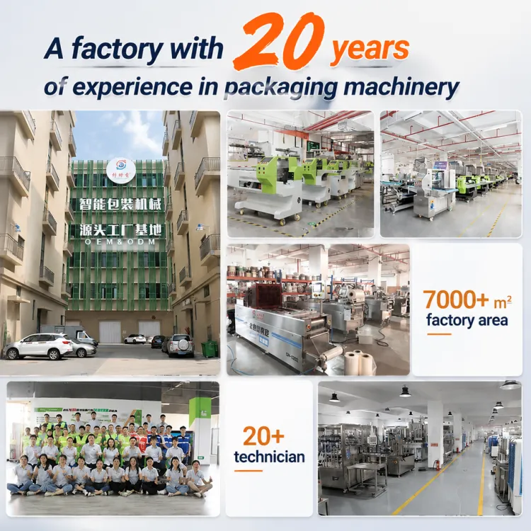 Automatic Honey Oil Peanut Butter Shampoo Chemical Filling Machine with PLC & Gear for Stand-up Pouch and Capping