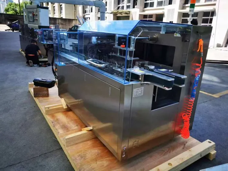Automatic Cartooning Machine for multi sachets, tea bags packaging into cartons