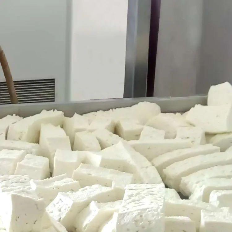 Complete Cheese Production Line for Manufacturing Plant Use