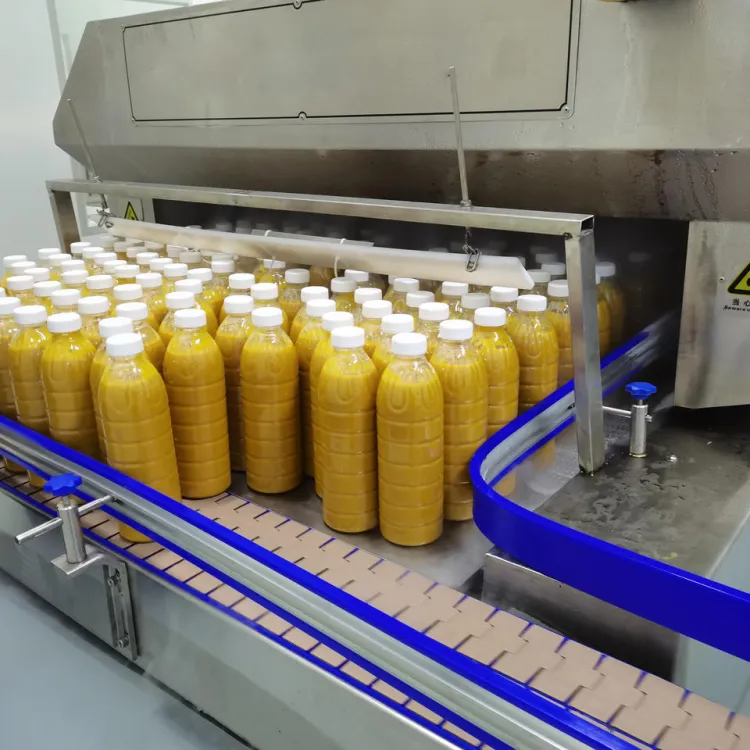 Industrial Fruit apple Juice Production Line Machine Juicer Processing Line
