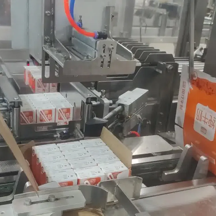 Automatic Side Pushing case Packer Carton Box Packaging Machine