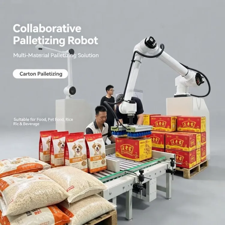 Medium Load Reliable Stacking Accuracy and Simplified Maintenance Requirements Collaborative Palletizing System