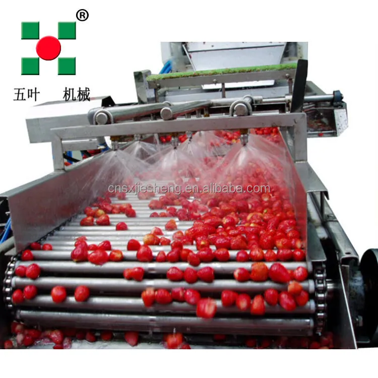 Industrial Continuous High Capacity Fruit Processing Line Manufacturing Fruit Freezing Equipment Fruit Production Line
