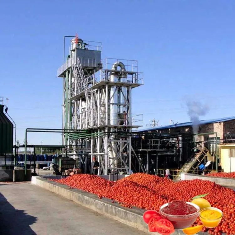 Paste Product Line Tomato Processing Production Line Tomato Sauce Production Line