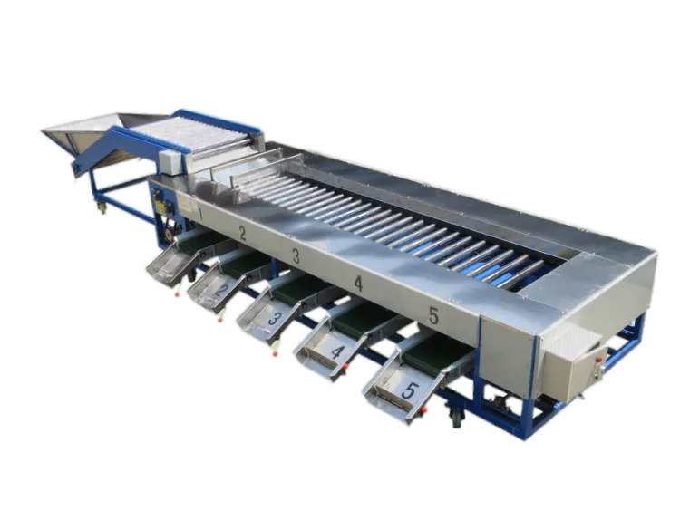 Automatic Roller Type Fruit Sorting Machine Apple Tomato Grading Machine
