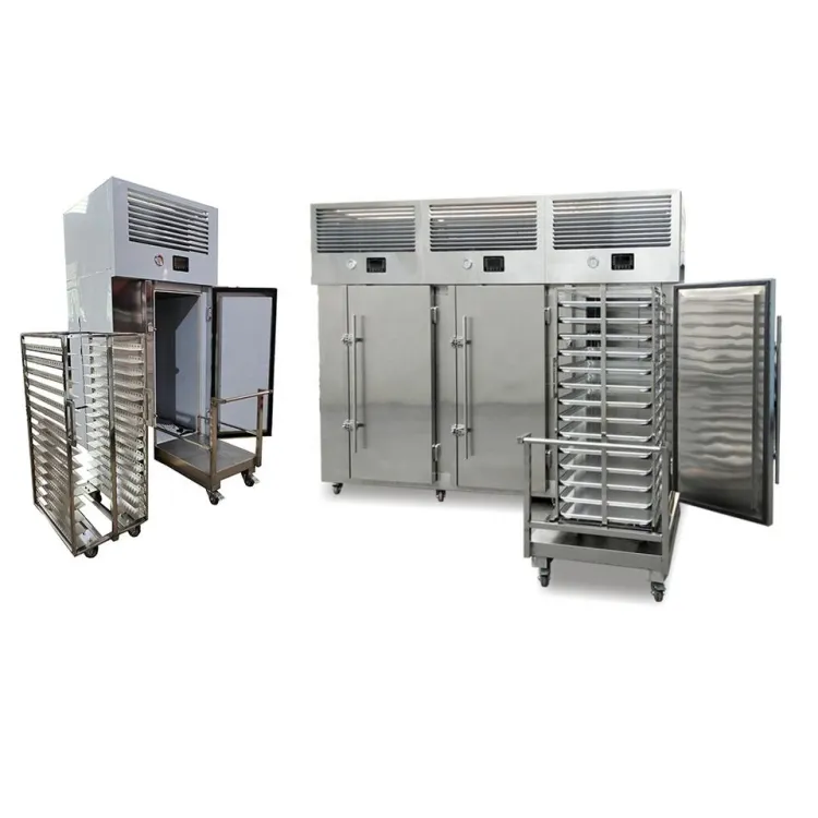 AICN Blast Freezer Made Batch Blast Freezer Standing Freezer