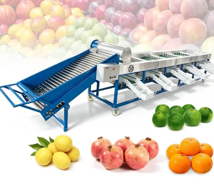 Fruit Auto Pomegranate Olive Papaya Kiwi Guava Mango Garlic Size Sorter Roller Grader Sorting Grading Machine