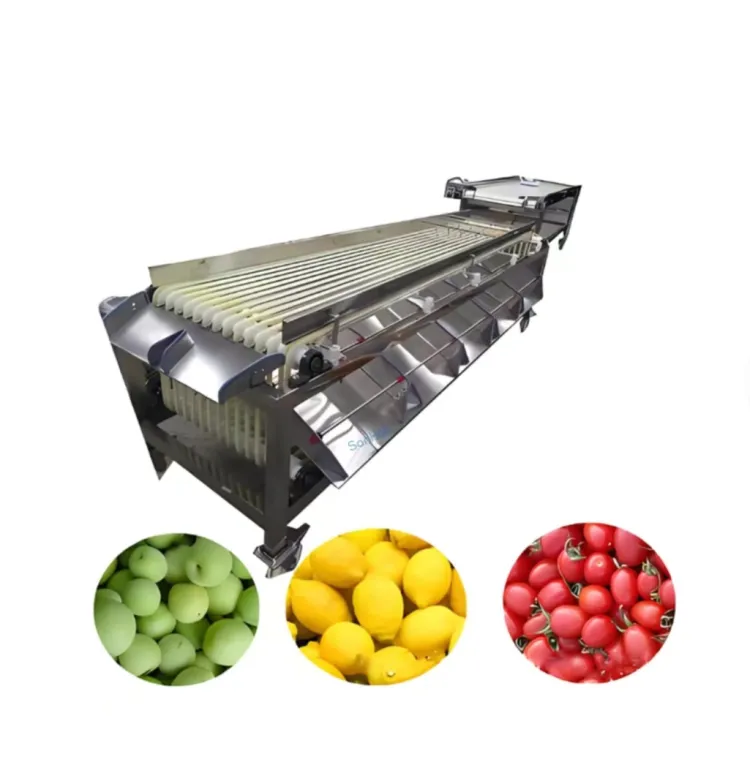 Commercial Fruit Vegetable Grading Fruit Automatic Sorting Automatic Sorting Conveyor