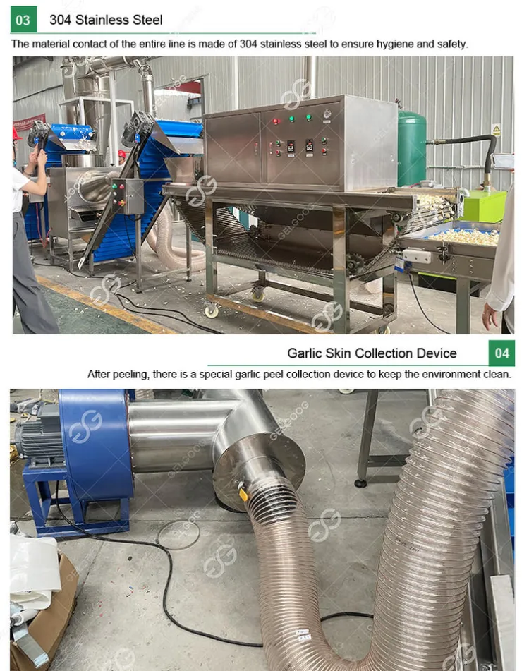 Compact Design Automatic Roller Garlic Separating Processing Unit Machine Air Compressors Garlic Peeler Line for Peeling Garlic