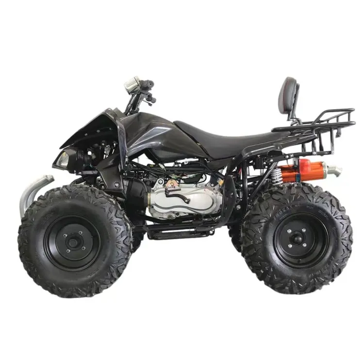 Adult 350cc Quad Bike Atv with Electric Start