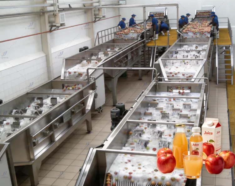 1000L/H Orange & Pineapple Juice Production Line